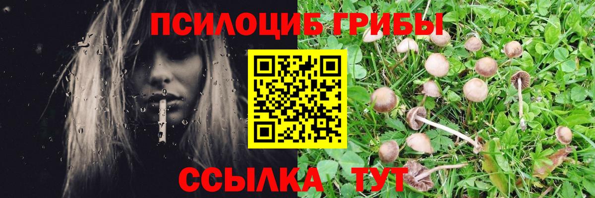 Псилоцибиновые грибы Magic Shrooms  Вход с VPN  Кострома 